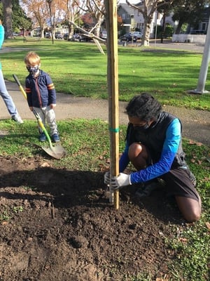 100k-trees-volunteers