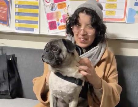 BCC BoT Report 12 09 25_8