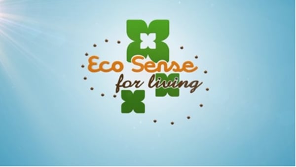 Eco Sense for Living