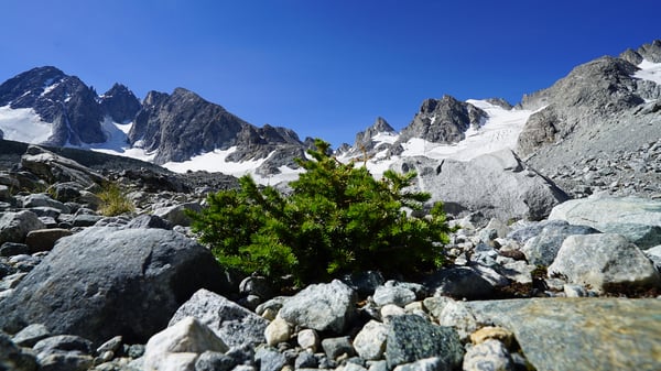 Glaciers of the Wind (1)