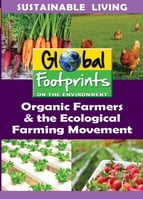 Global Footprints 4