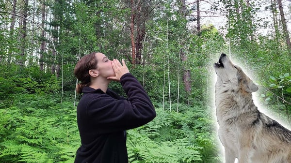 Into the Outdoors - Into The History of Wolves