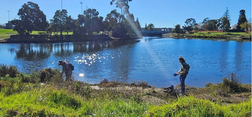 Laney BoT Report 2025.12_2