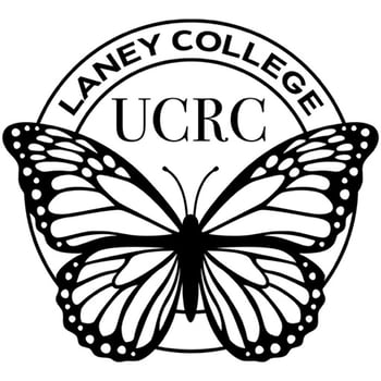 Laney BoT Report 9 9 25_9
