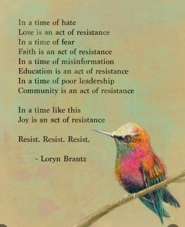 Loryn Brantz - Resist