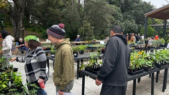 MC_PlantSale_People
