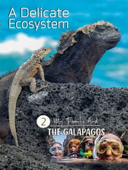 My Family Galapagos #2- A Delicate Ecosystem