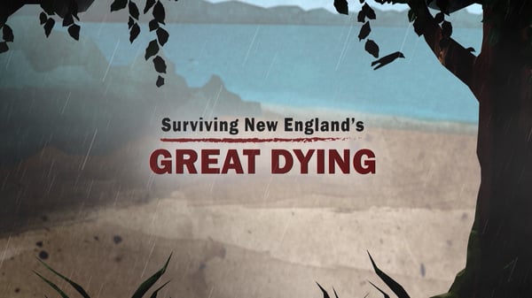 Surviving New Englands Great Dying