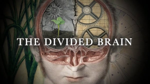 The Divided Brain 1 1