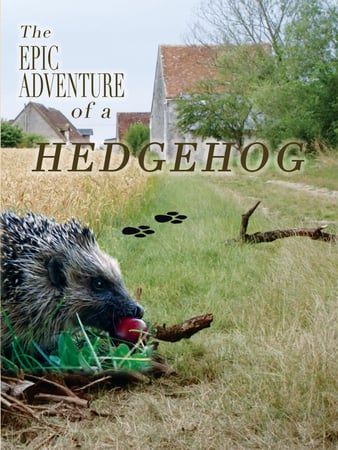 The Epic Adventure of Hedgehog - Cover