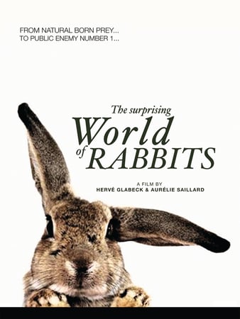 The Surprising World of Rabbits - Cover