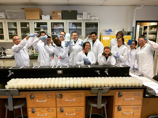 Laney College Biomanufacturing Lab members pouring agar plates